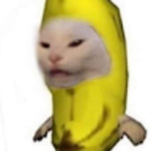 Meet your Posher, Sophia